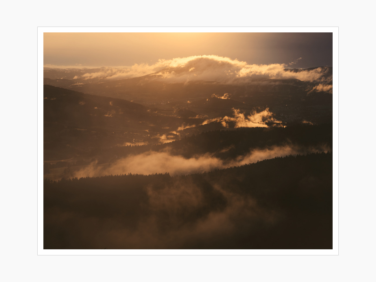 Max Schiefele Alle Bilder  DSF6589